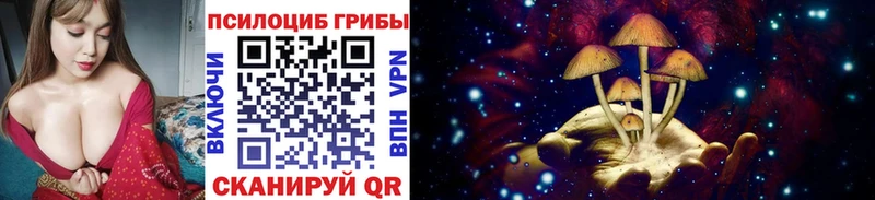 это клад  где найти   Копейск  Псилоцибиновые грибы прущие грибы 